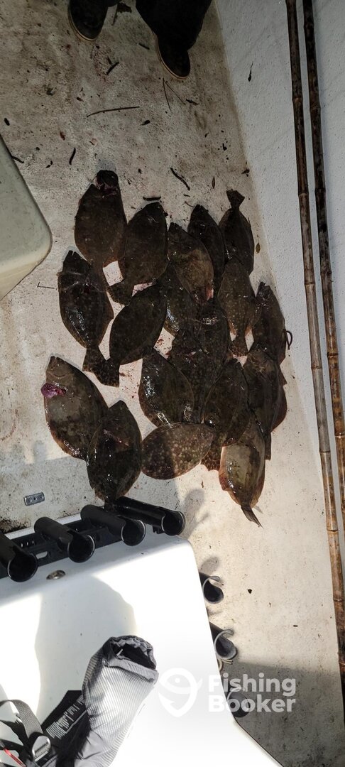 Dauphin Island Report Photo 0