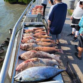 Clearwater Report Photo 2