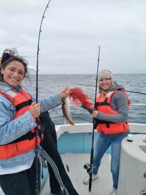 Ensenada Report Photo 2