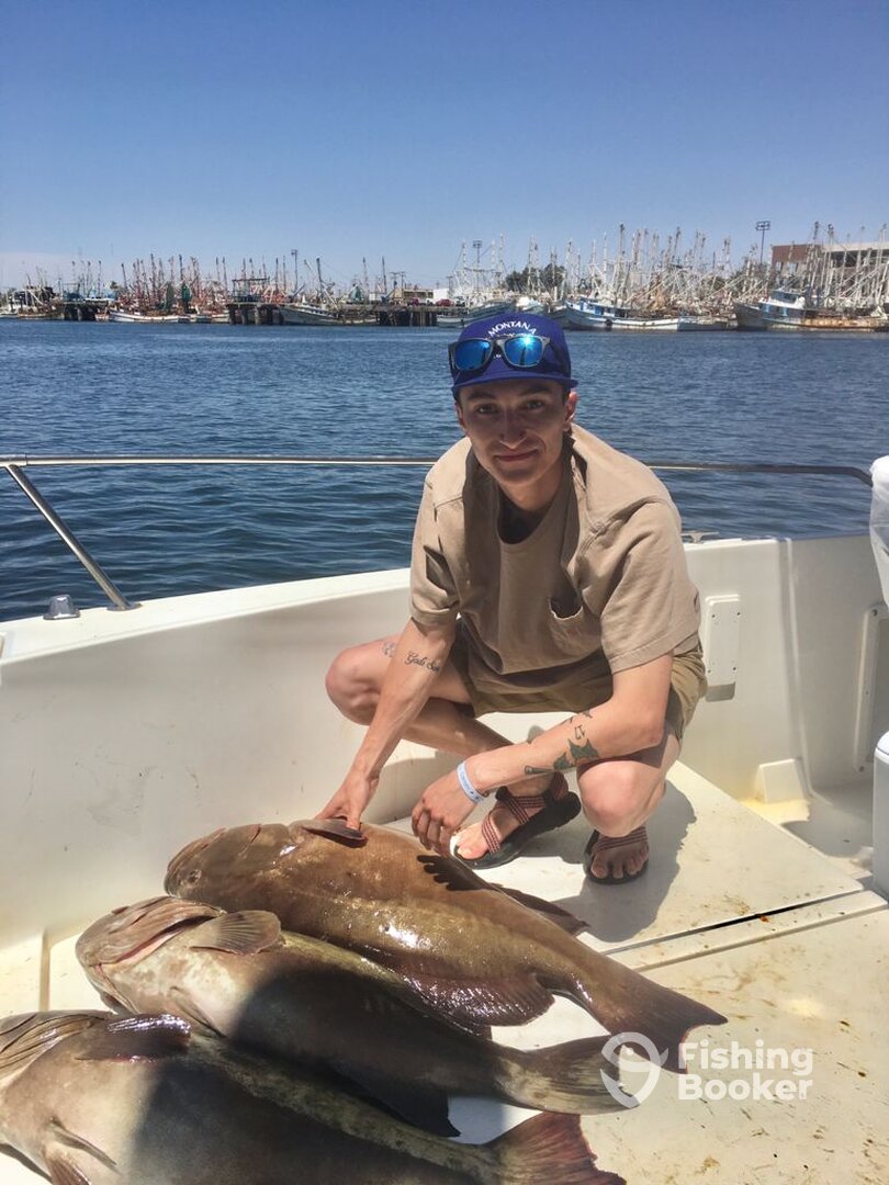 Puerto Peñasco Report Photo 0