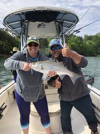 Cumming Report Photo 2