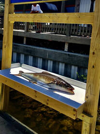 Destin Report Photo 2