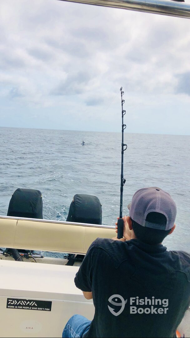 Puerto Vallarta Report Photo 0