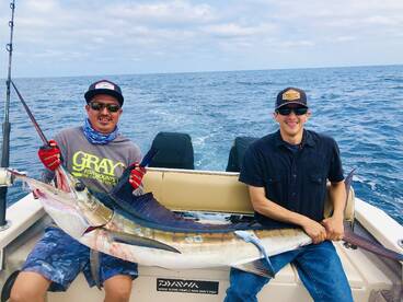 Puerto Vallarta Report Photo 2