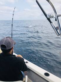 Puerto Vallarta Report Photo 1