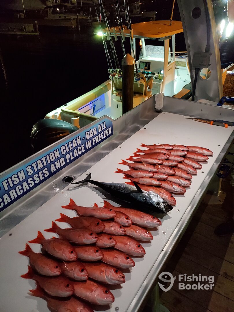 Shalimar Report Photo 0