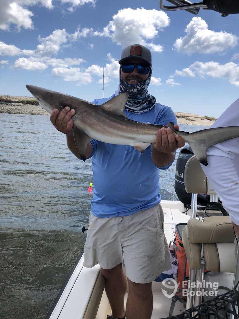 Midway Report Photo 0