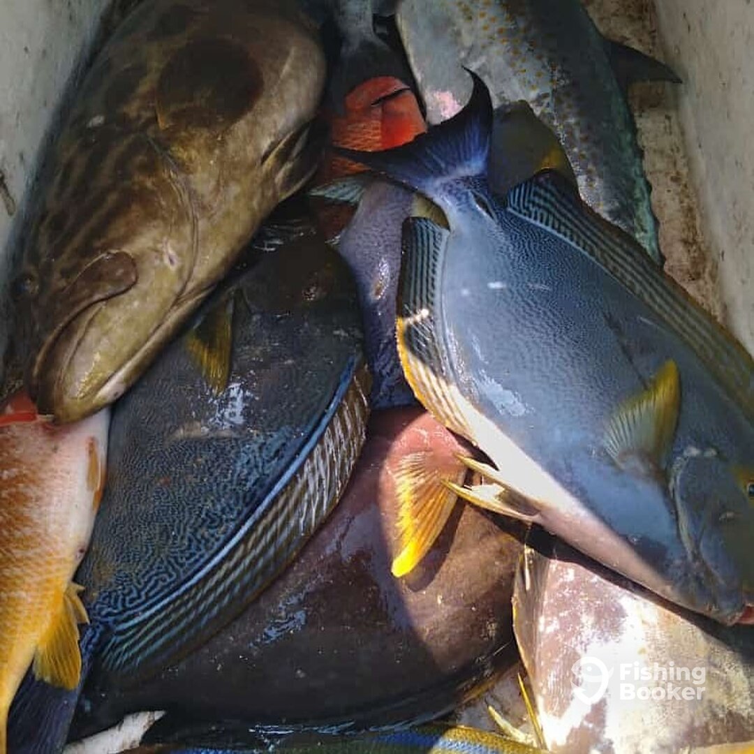 San Jose del Cabo Report Photo 0