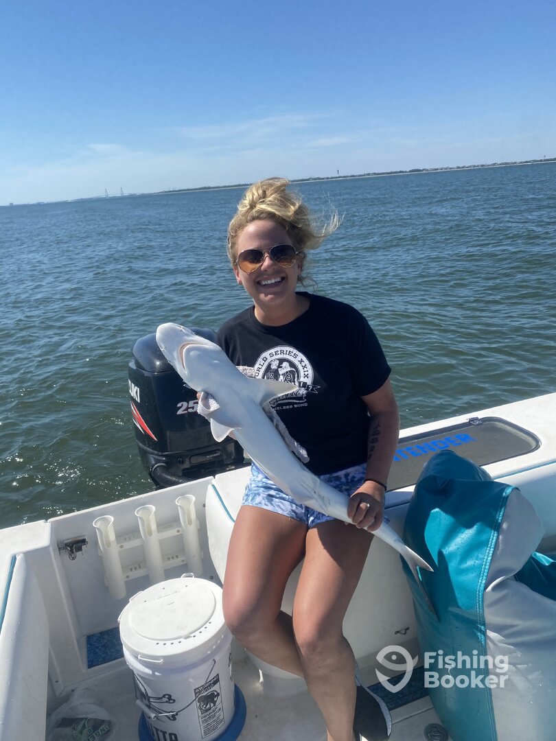 Mount Pleasant Report Photo 0