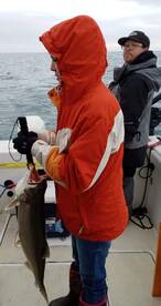 Fairview Report Photo 1