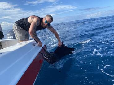 Herradura Report Photo 2