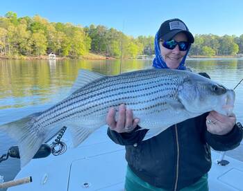 Cumming Report Photo 1