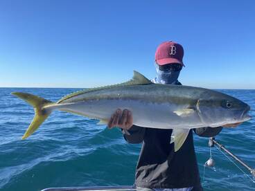 Sydney Report Photo 1