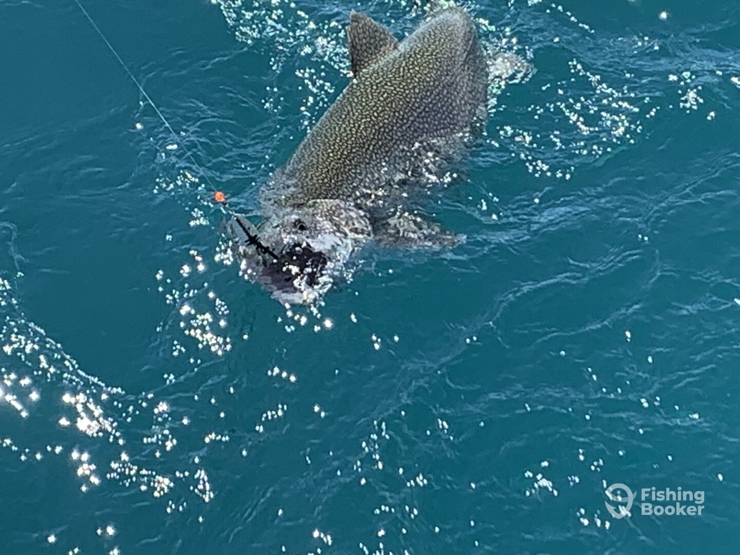 Port Washington Report Photo 0