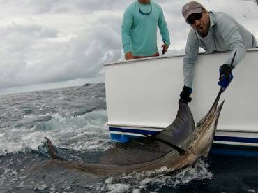 Quepos Report Photo 2