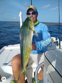 May / June Mahi