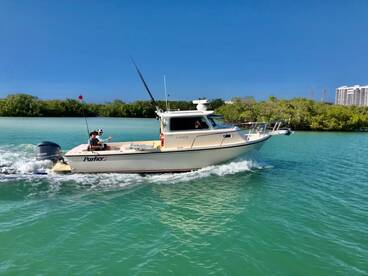 Cobia, Snook, Goliath, and Permit - Napl