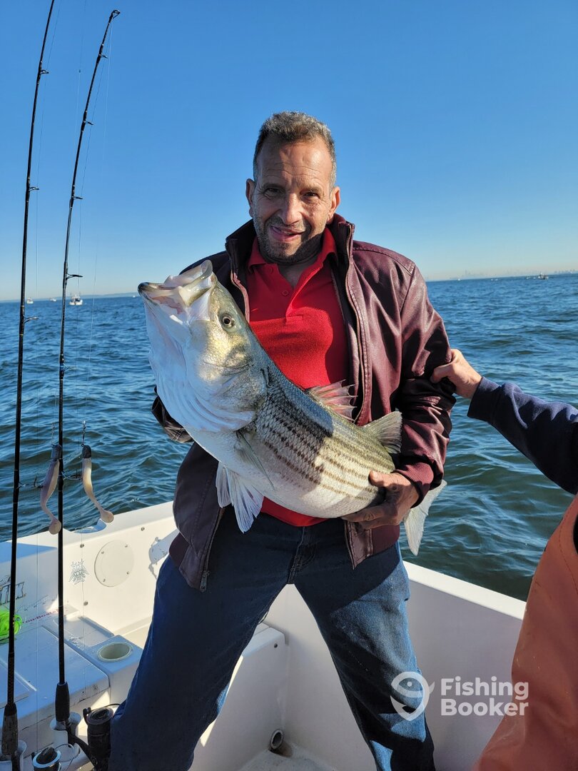 Highlands Report Photo 0