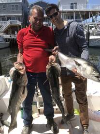 Highlands Report Photo 2