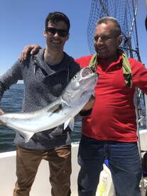 Highlands Report Photo 1