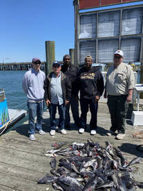 Ocean City Report Photo 1