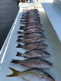 Islamorada Verslag Foto 1