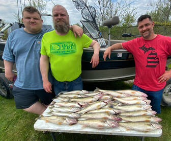 Michigan Walleye Game On