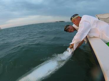 End of May Tarpon Fishing