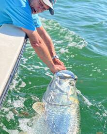 Sanibel Report Photo 1