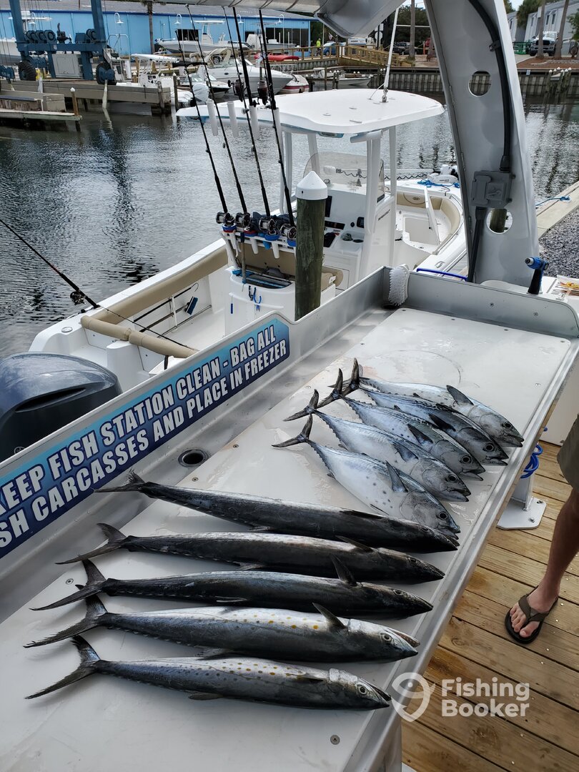 Shalimar Report Photo 0