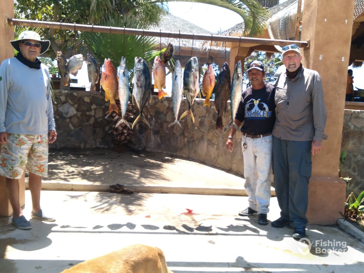 San Jose del Cabo Report Photo 0