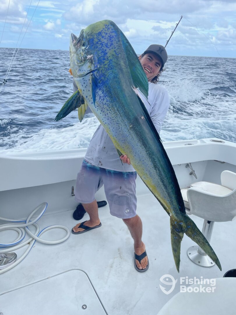 Fort Lauderdale Report Photo 0