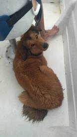 Playa Del Carmen Report Photo 1