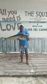 Playa Del Carmen Report Photo 2
