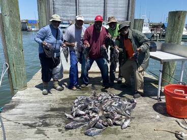 Ocean City Report Photo 2