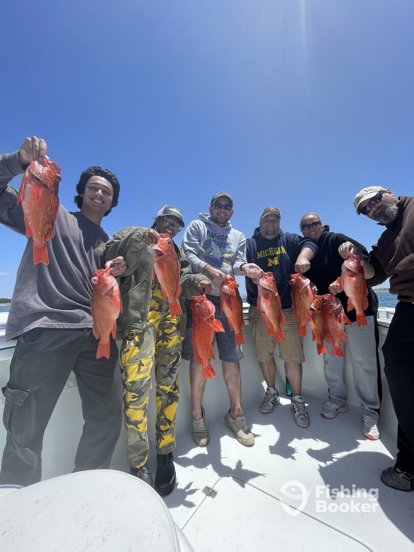 San Diego Report Photo 0