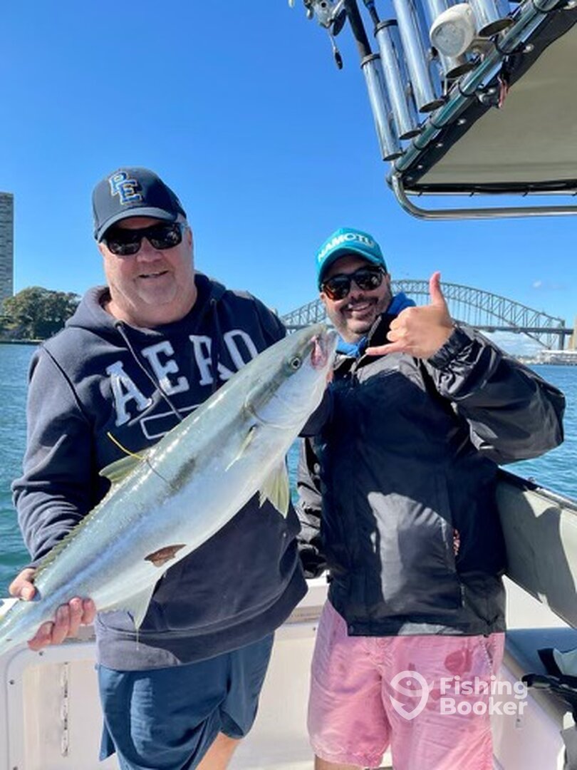 Sydney Report Photo 0