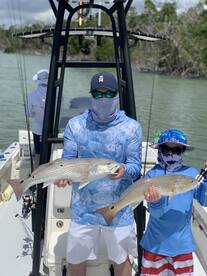 Marco Island Report Photo 1