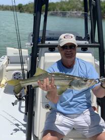 Snook Bite