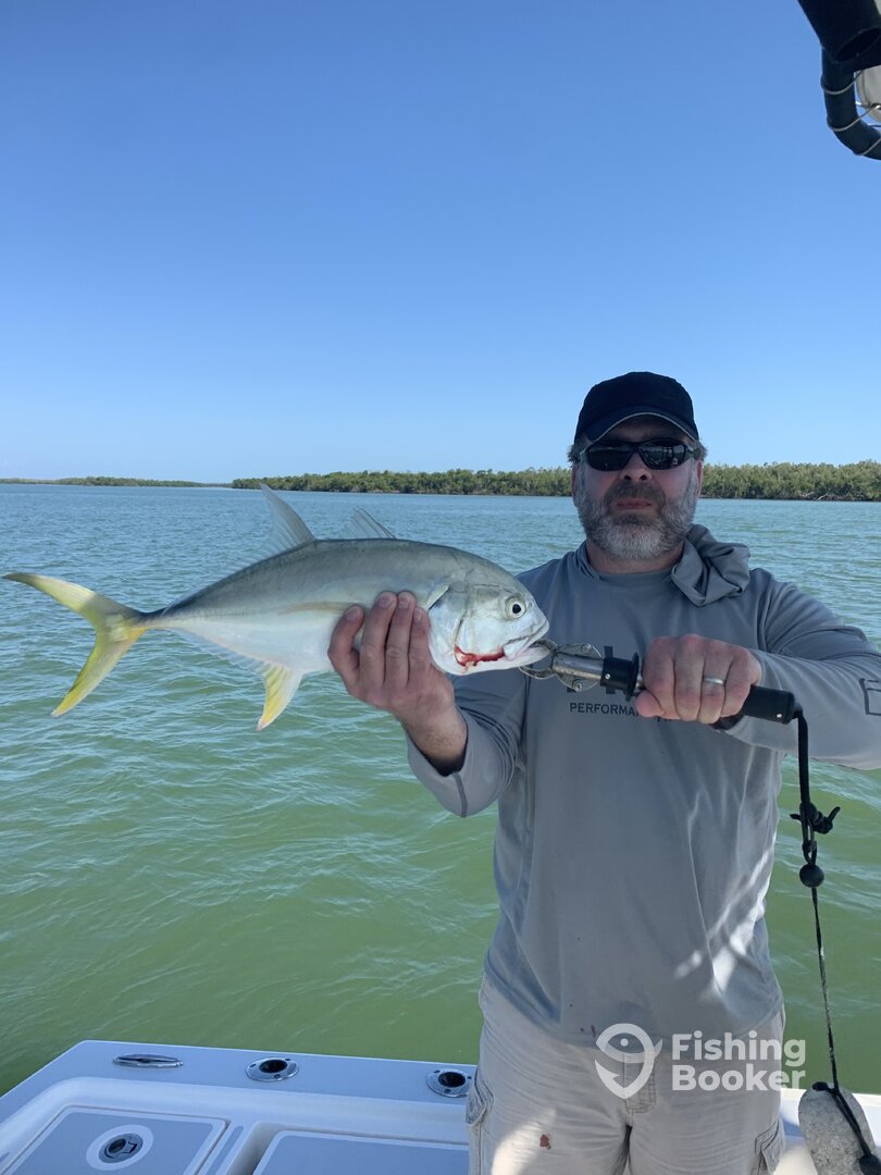 Marco Island Report Photo 0