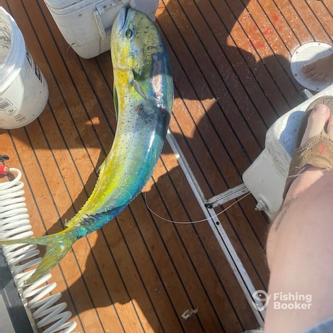 West Palm Beach Report Photo 0