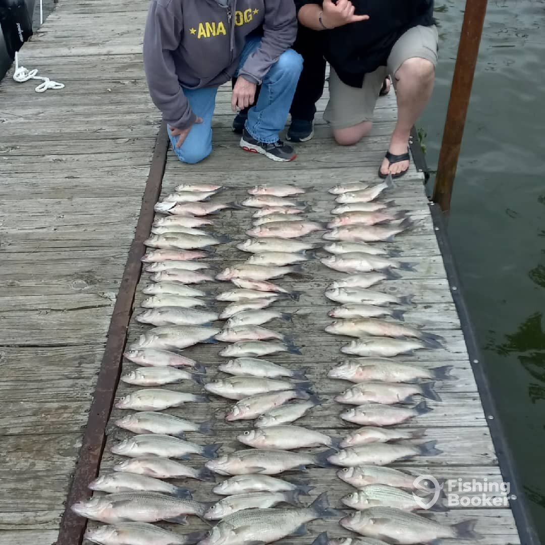 West Tawakoni Report Photo 0
