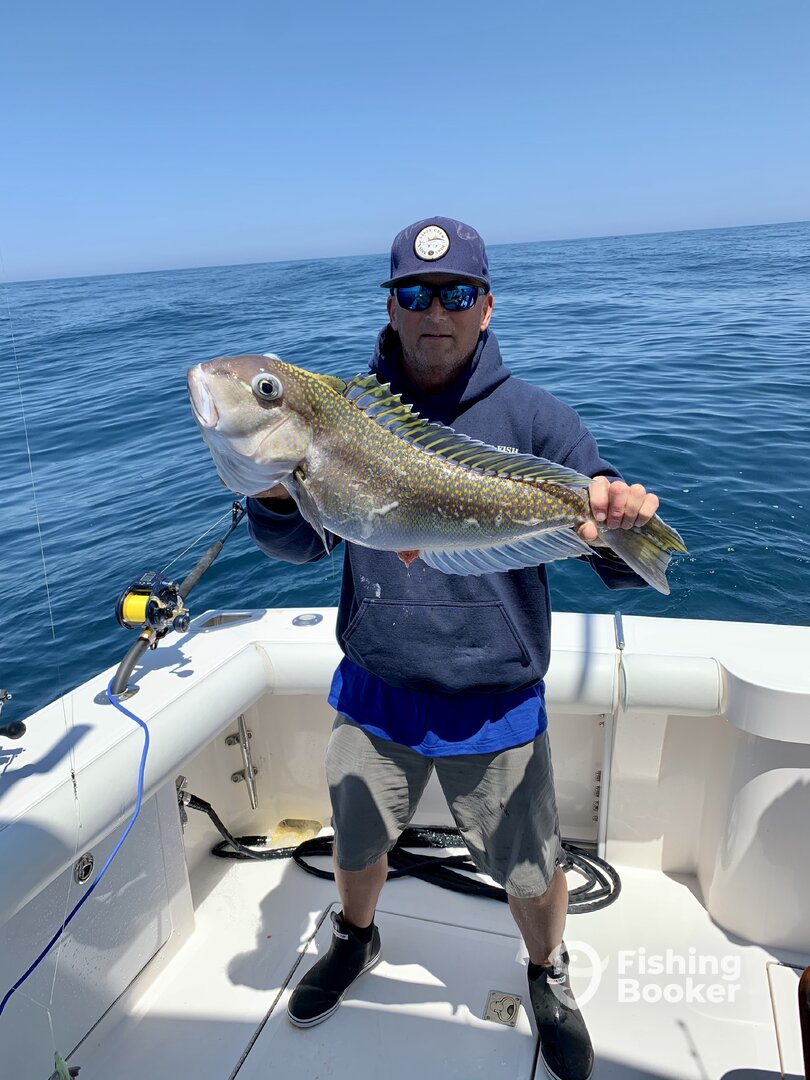 Virginia Beach Report Photo 0