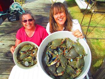 Hatteras Report Photo 1