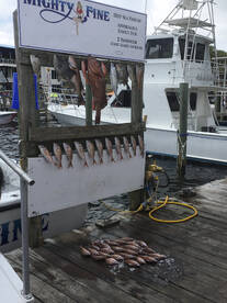 Destin Report Photo 1