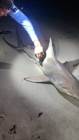 New Smyrna Beach Report Photo 2