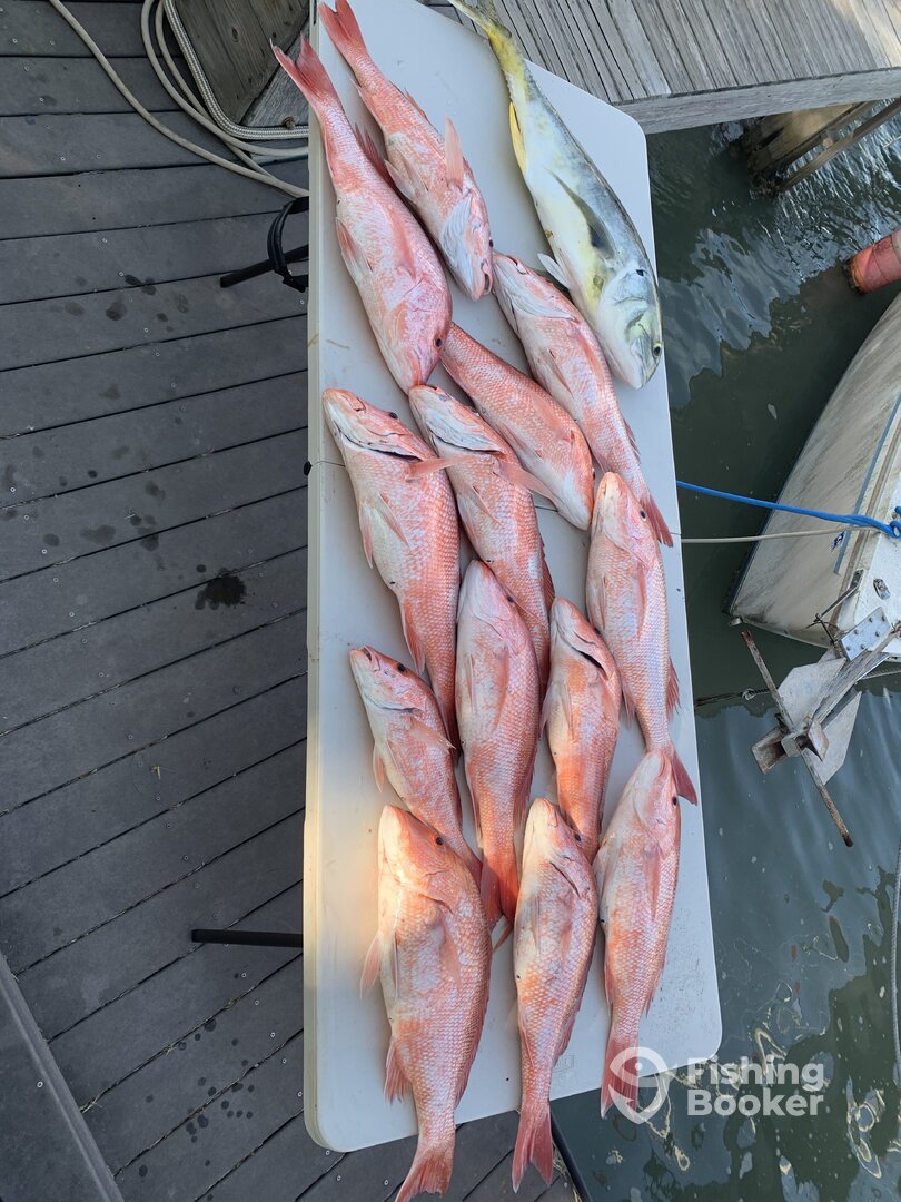 South Padre Island Report Photo 0