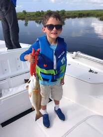 Barataria Report Photo 1