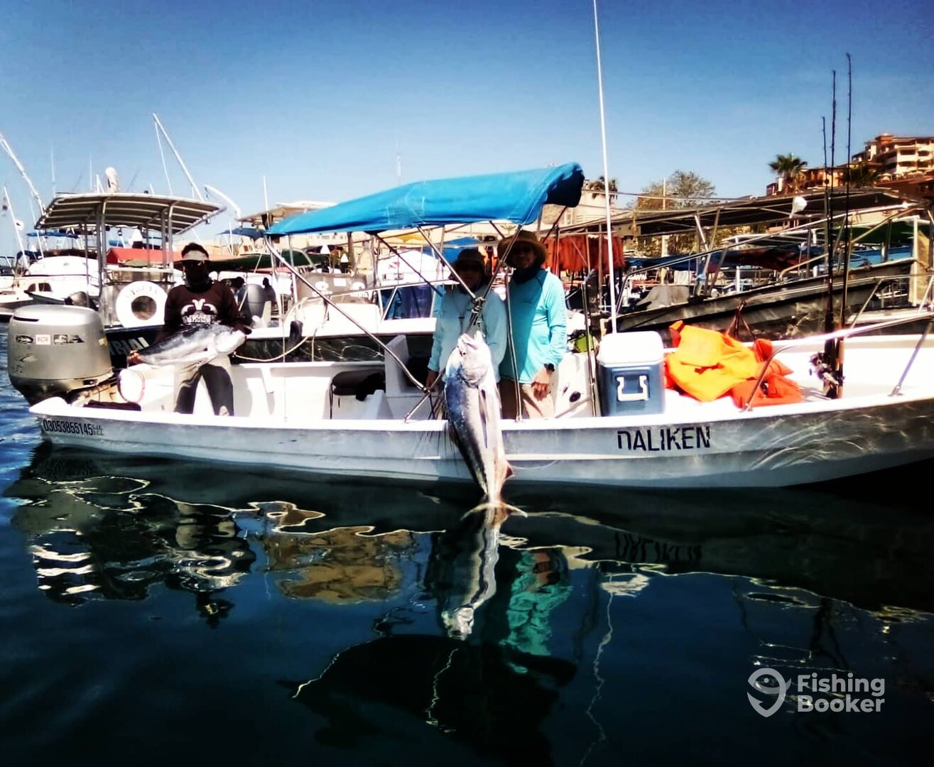 San Jose del Cabo Report Photo 0