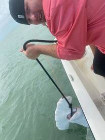 South Padre Island Report Photo 2